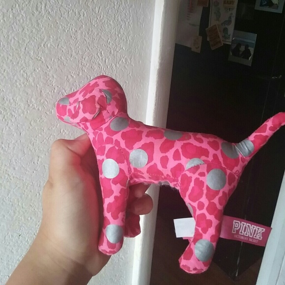 VS dog