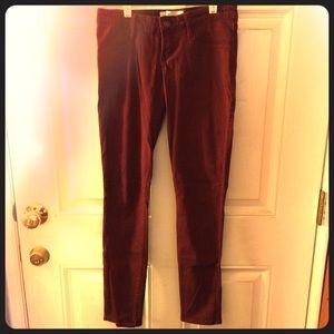 Hollister Red Pants