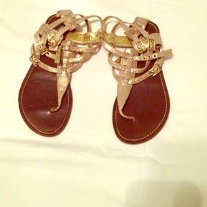 Gold Gladiator