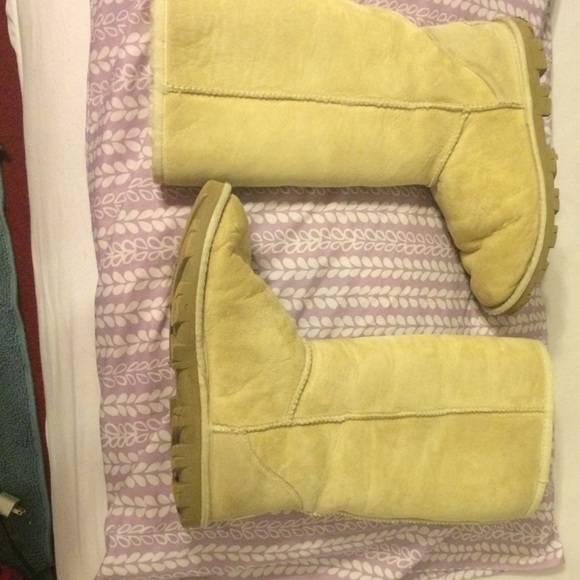 Tall sand color uggs - Picture 1 of 4