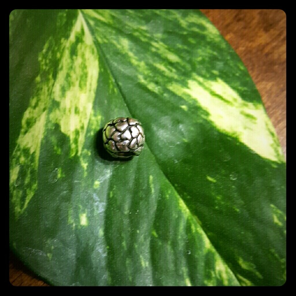 Pandora charm 1 of 2