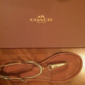 COACH Charleen Metallic and Gold Leather Sandals