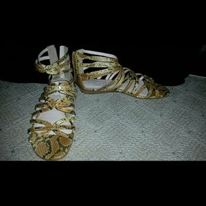 RACHEL Rachel Roy Gladiators