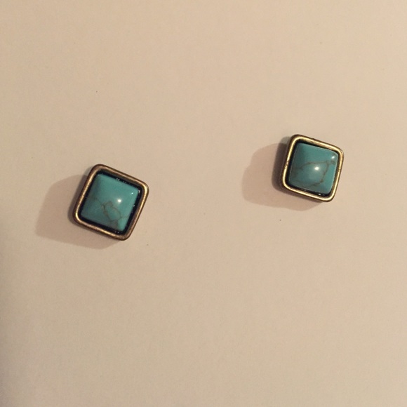 Jade Bronze Trim Earrings