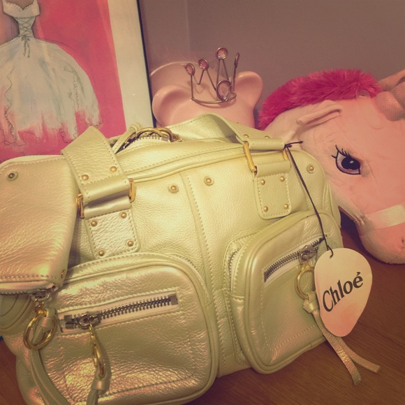 Chloe leather purse