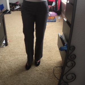Ann Taylor dress pants