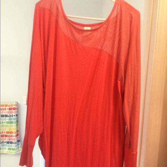 Lane Bryant Livi Collection