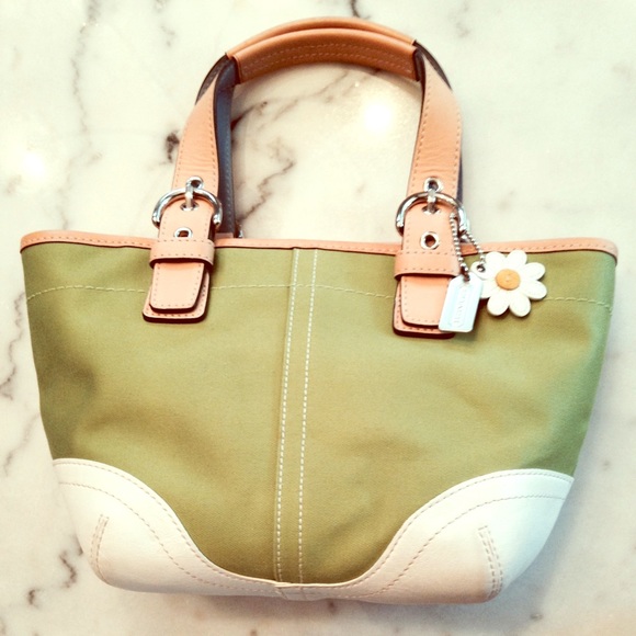 Coach Spring Tote Bag - Small