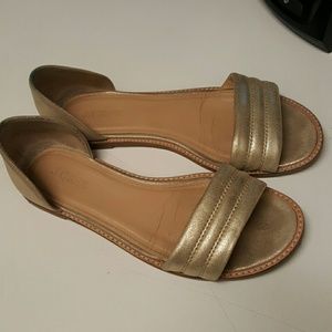 J crew gold hayes flats