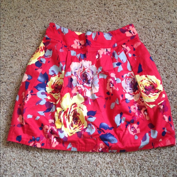 Zara Floral Tulip Skirt