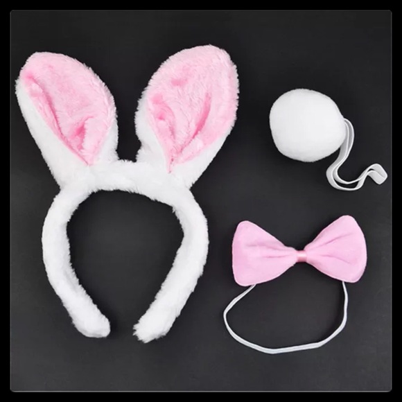 ❌SOLD❌ Bunny Rabbit Costume - Picture 2 of 4