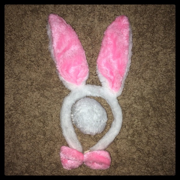 ❌SOLD❌ Bunny Rabbit Costume - Picture 3 of 4