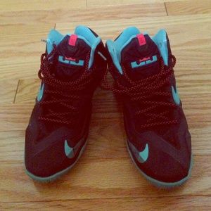 Nike black/blue Lebron 11