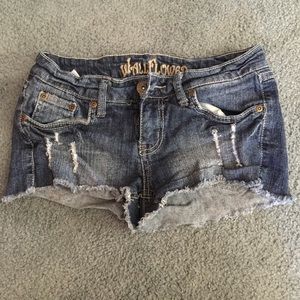 Wallflower shorts 🌼