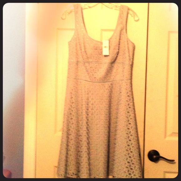 Loft NWT dress