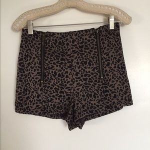 Urban outfitters leopard shorts with zippers