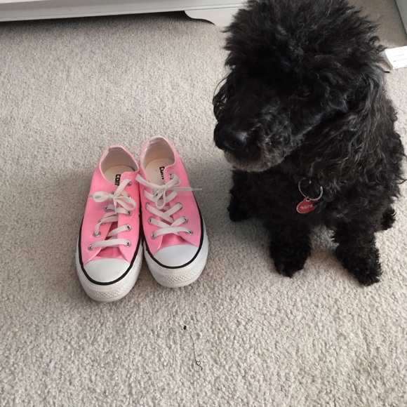pink converse allstars