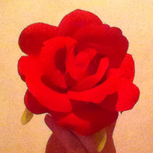 Red rose hair flower clip
