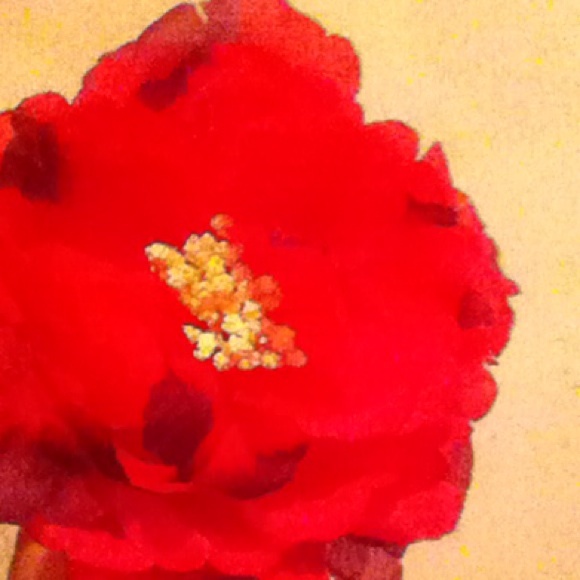 Pink and purple flower hair clip