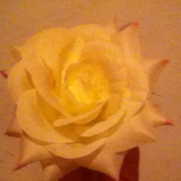 White hair flower clip