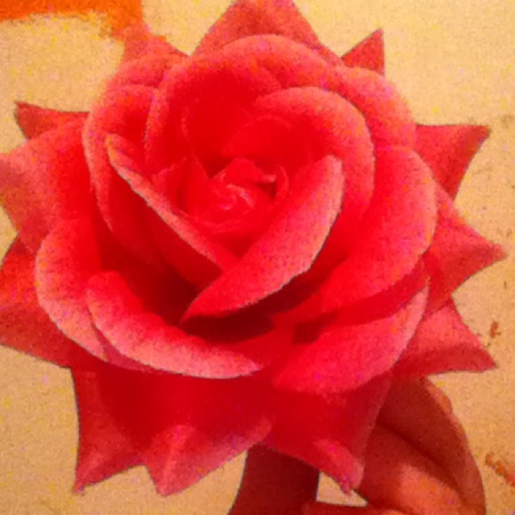 Pink rose hair flower clip