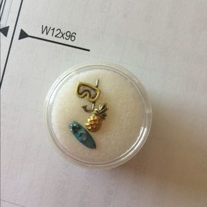 3 origami owl charms