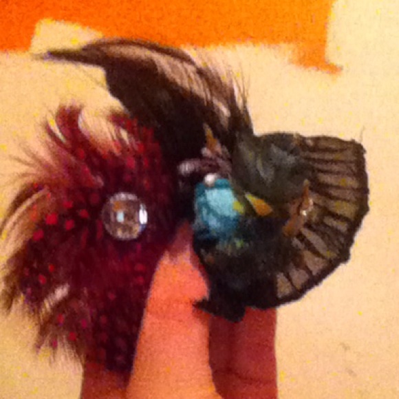 2-1 hair feather clips