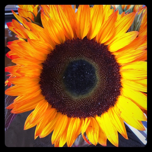 This flustered seller.