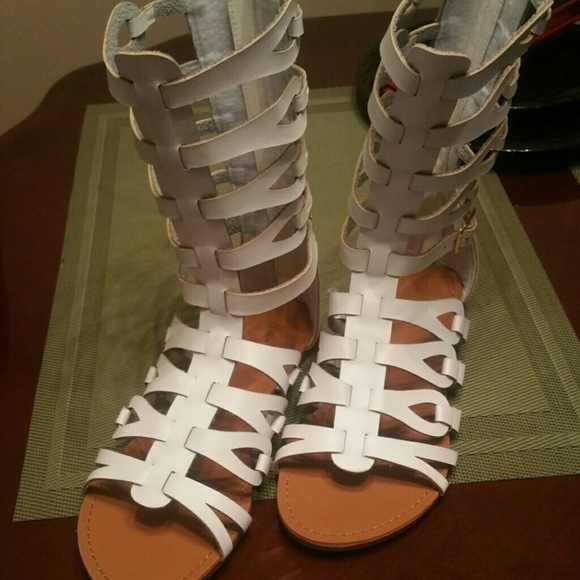 Brand new mid height gladiator sandal