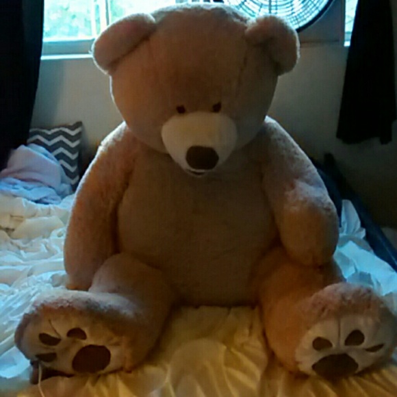 Toddler size teddy bear! Got it as a gift