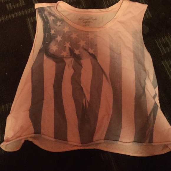 American flag crop