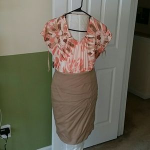 Brand new dress. Work/chic
