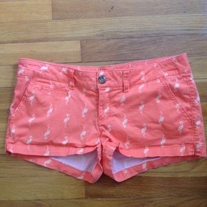 Flamingo Shorts