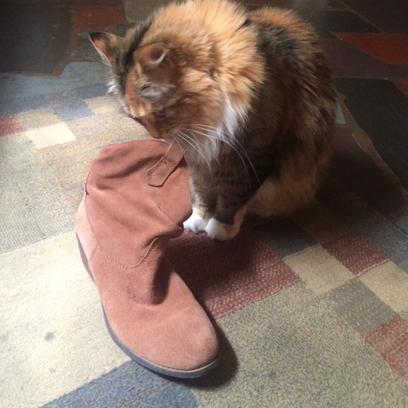 Booties - Picture 4 of 4