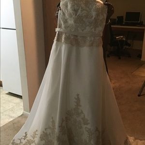 Vera Wang Wedding Gown