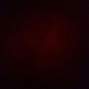 Triangl top for @madisoncoccomo