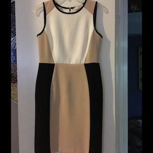 Loft dress NWOT