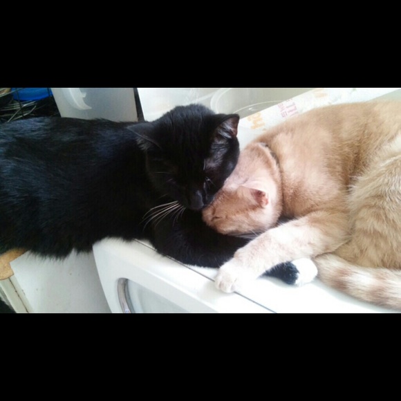 OFFERS WELCOME!!!! - Picture 3 of 4