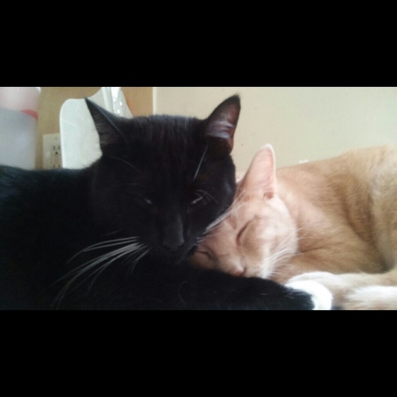 OFFERS WELCOME!!!! - Picture 4 of 4