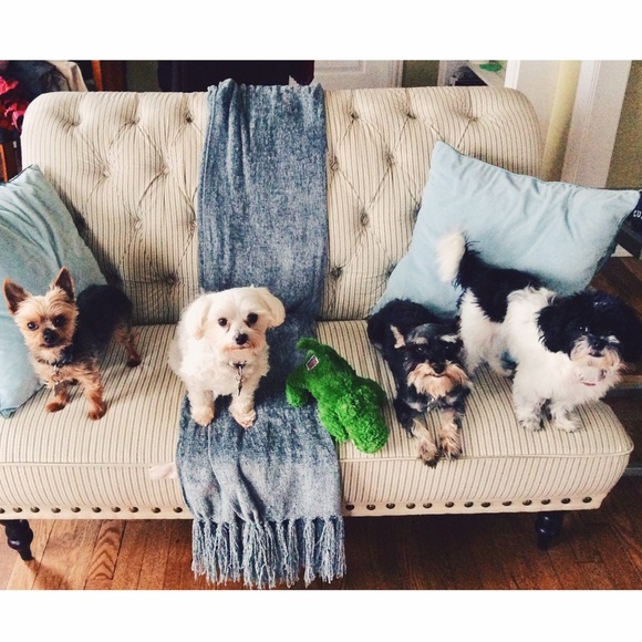 MEET THE SELLER... - Picture 7 of 7