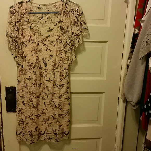 Lacey bird patterned dress.