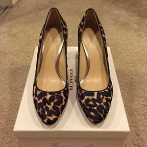 BNIB Coach Giovanna Leopard Print Haircalf Pumps