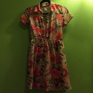 Collared Floral Dress