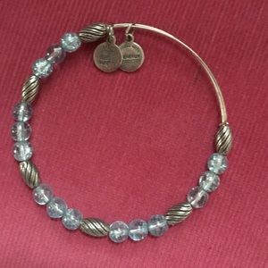 Alex And Ani Bangle