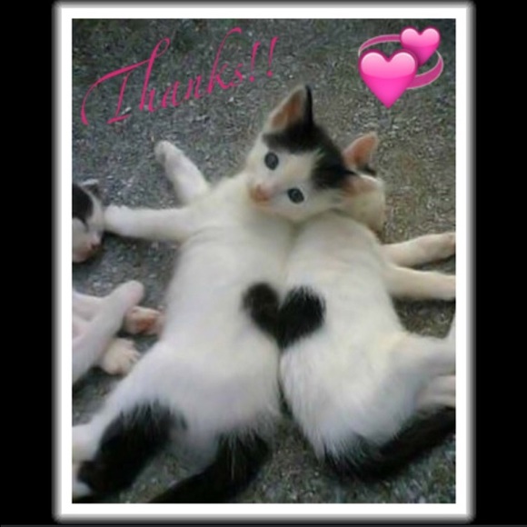 Thanks for the Likes and Shares, Everyone!