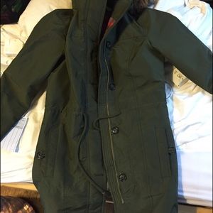 Hollister winter jacket