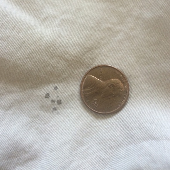 Tan shorts - Picture 4 of 4