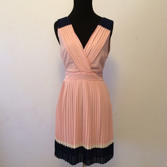 Pink and Navy Pleated Dress