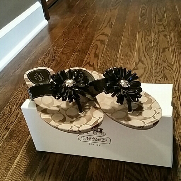 Coach Sandals