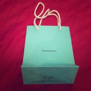 Tiffany & Co. bag 💎